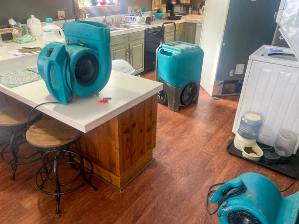 Best Basement water damage restoration  in Cave Junction, OR