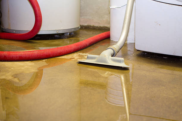 Best Commercial water damage restoration  in Cave Junction, OR