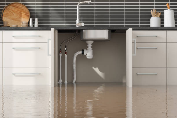 Best Residential water damage restoration  in Cave Junction, OR